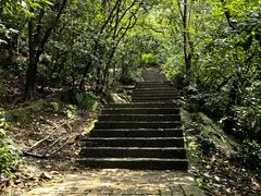 -紫金山山顶公园