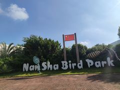 -大湾区中央湿地公园