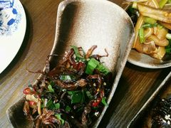 -福照楼汽锅鸡·云南菜(护国路店)
