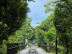 -武吉知马自然保护区