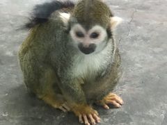 -西安秦岭野生动物园