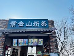 -紫金山山顶公园
