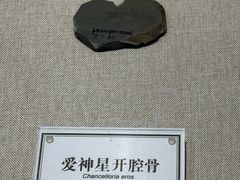 -辽宁古生物博物馆