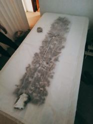 -姜美堂·蒸姜除湿の纤体美颜馆