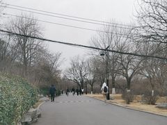 -千佛山风景名胜区