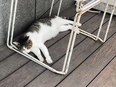 -UNI UNI(环亚凯瑟琳店)