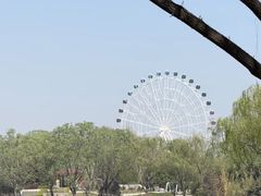 -石家庄市植物园