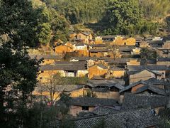 -杨家堂村