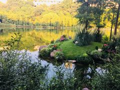 -重庆彩云湖湿地公园