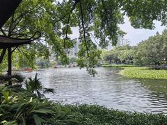 -荔湾湖公园