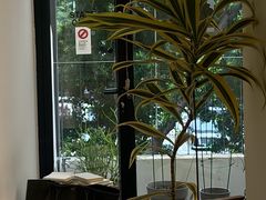 -素咫咖啡CLIFEROSE(新安店)