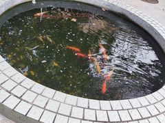 -红线女旧居