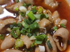 红烧肥肠-周肥肠(江油总店)
