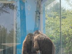 -秦皇岛野生动物园
