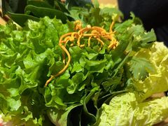 -礼舍·和牛火锅·烤肉·料理餐厅(华茂店)