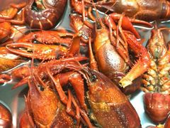 -骏莱海鲜鱼港(五角场店)