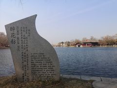 -百脉泉景区