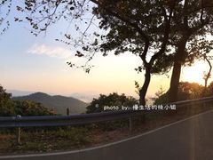 景点-风云岭森林公园