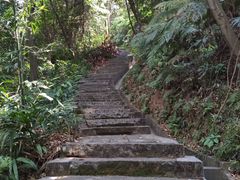 -广州市帽峰山景区