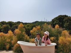 -玫瑰小镇