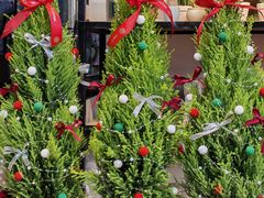 -循礼门鲜花花市(武汉循礼门店)