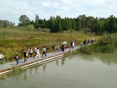 -溱湖国家湿地公园