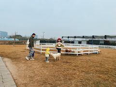 -栖露营camping·天幕烧烤·团建拓展·采摘营地