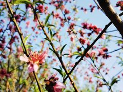 -水濂山森林公园