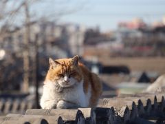 -前叁門