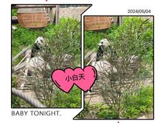-北京动物园