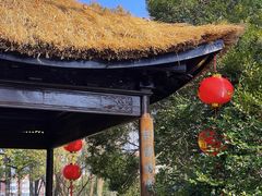 -上海醉白池公园