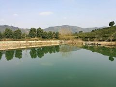 -帐篷客·溪龙茶谷度假酒店