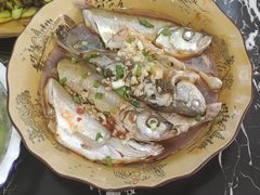 -涵家味土菜馆·徽州一绝臭鳜鱼(三河古镇店)