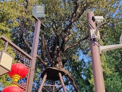 -北京市劳动人民文化宫(太庙)