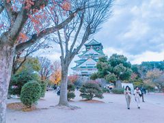 -名古屋城