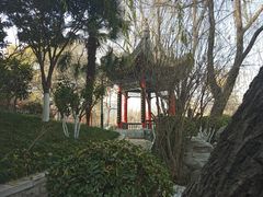 -莲湖公园