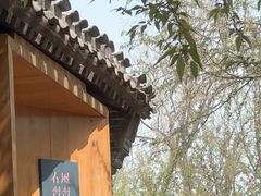 -春风习习