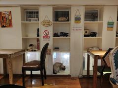 -猫小院猫主题咖啡厅(北锣店)
