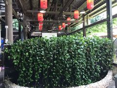 -鹅滋道(甘坑古镇店)