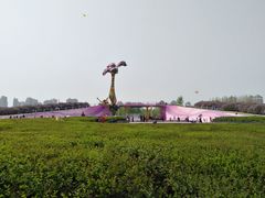 -群力丁香公园