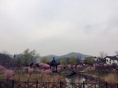 -石塘人家