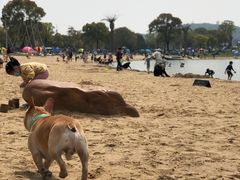 -上海月湖雕塑公园