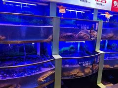 -七欣天香辣蟹火锅(南京建宁路大观天地店)