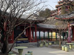 -宫事颐庭·老佛爷贵寿下午茶(颐和园店)