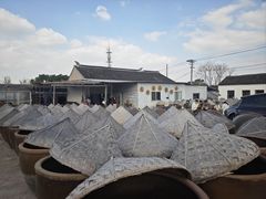 -苏州市吴中区光福窑上花果蜜饯厂