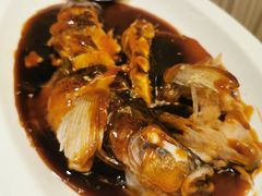 -南麓·浙里(外滩店)