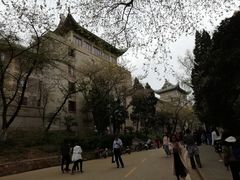 -武汉大学-樱园