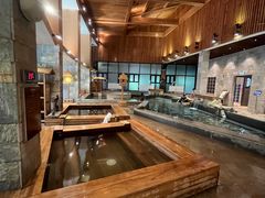 -汉拿山温泉度假酒店