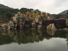 -白马涧龙池景区