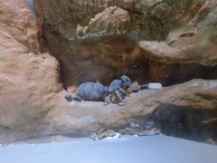 -上海昆虫博物馆